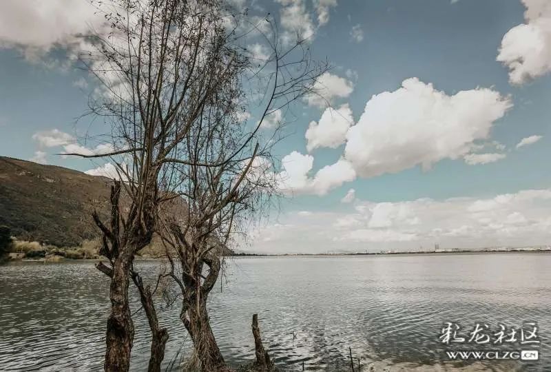 昆明信息港/cnkmxxg