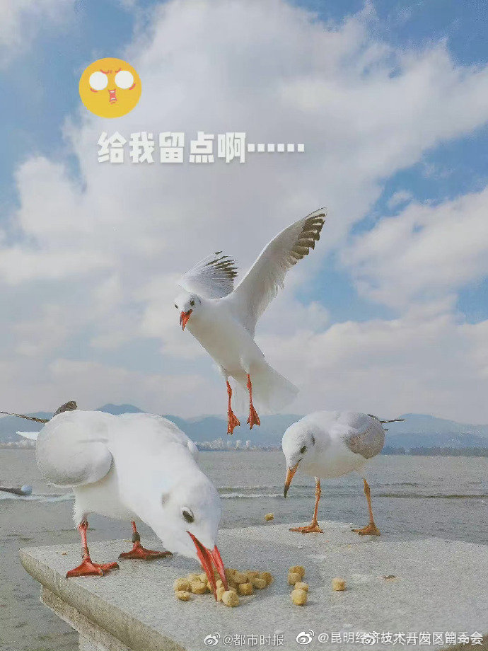 昆明经济技术开发区管委会