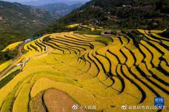 “昆明市西山区发布”微博