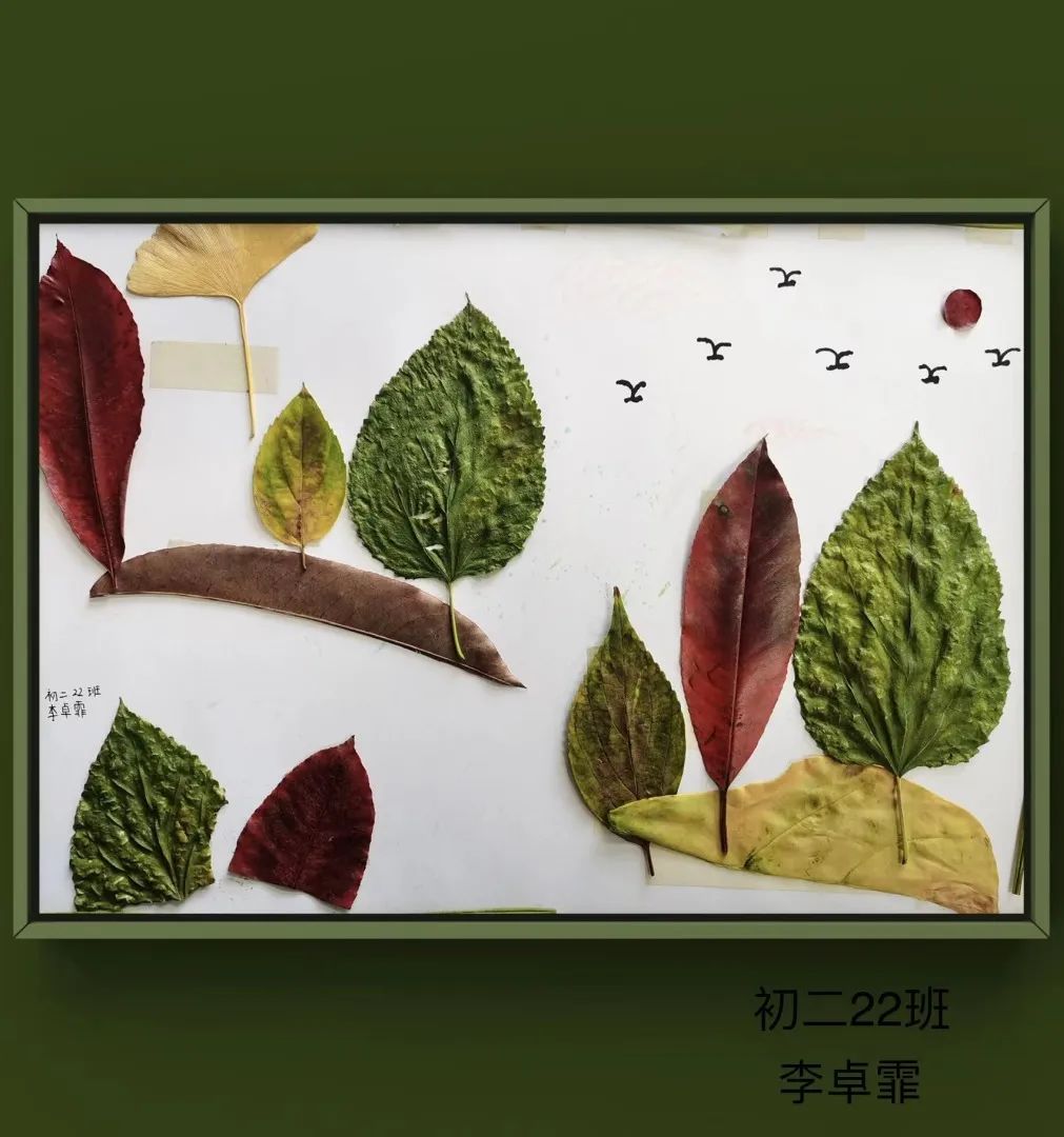 盘龙教育(微信)
