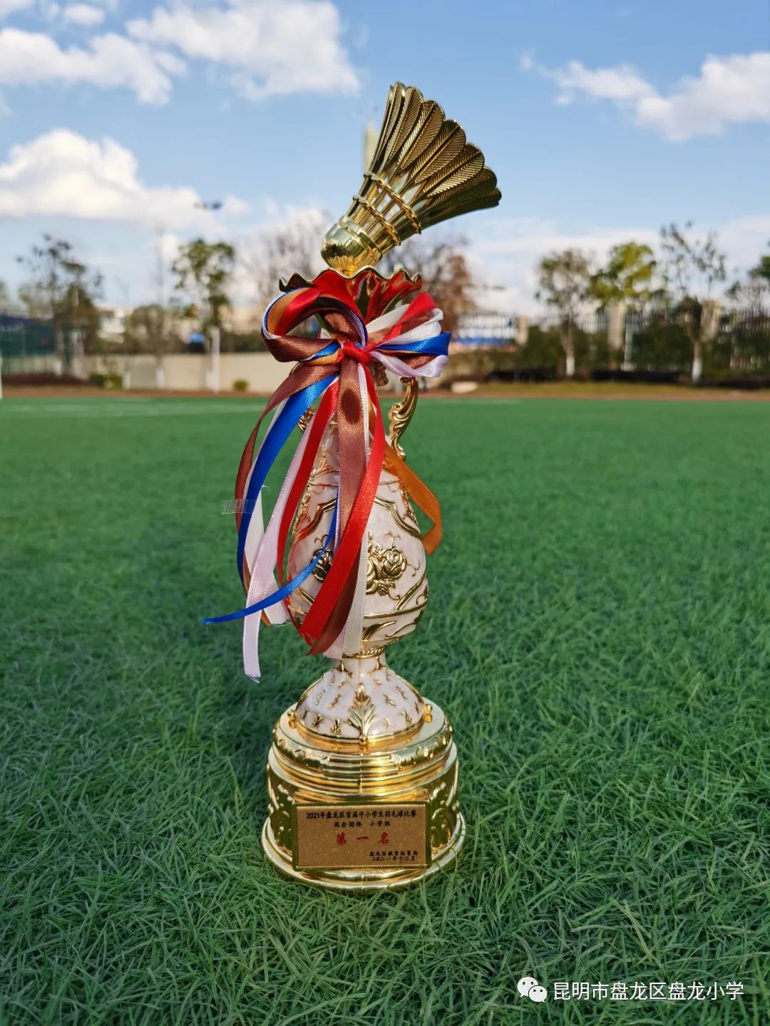 昆明市盘龙区盘龙小学(微信)