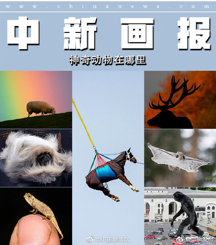 呈贡发布