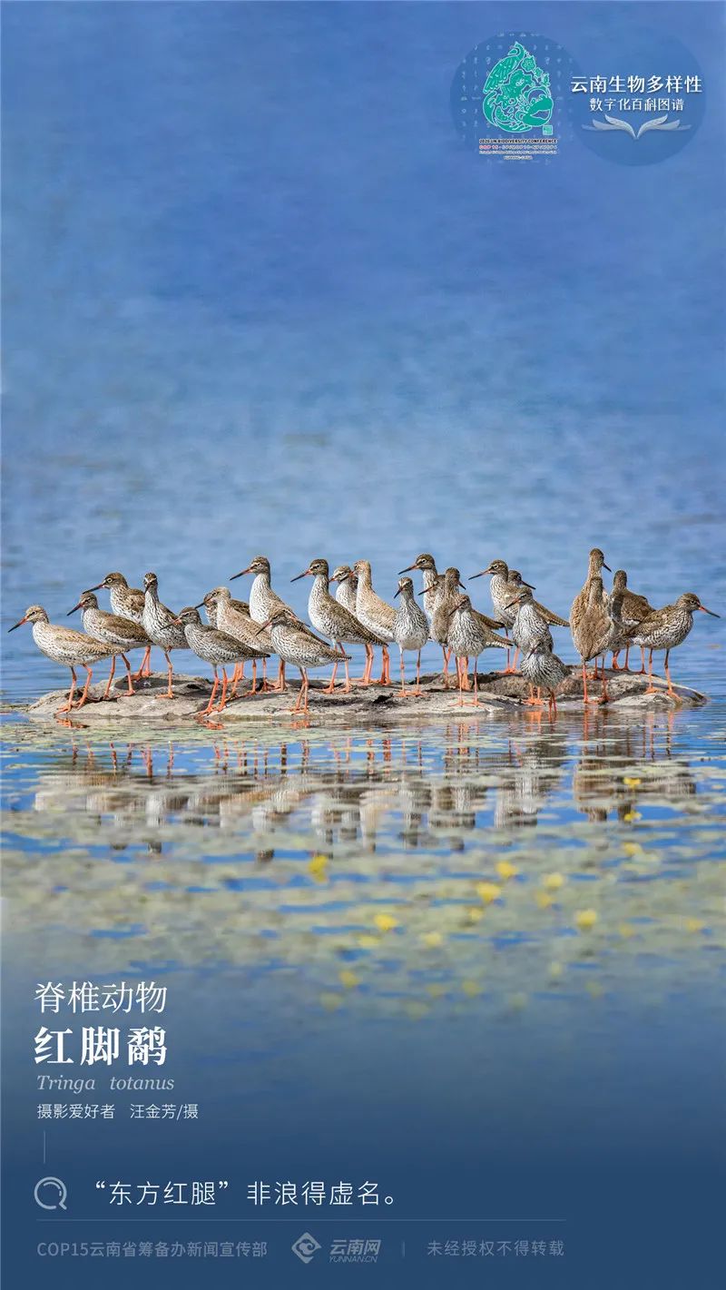 云南省人民政府网