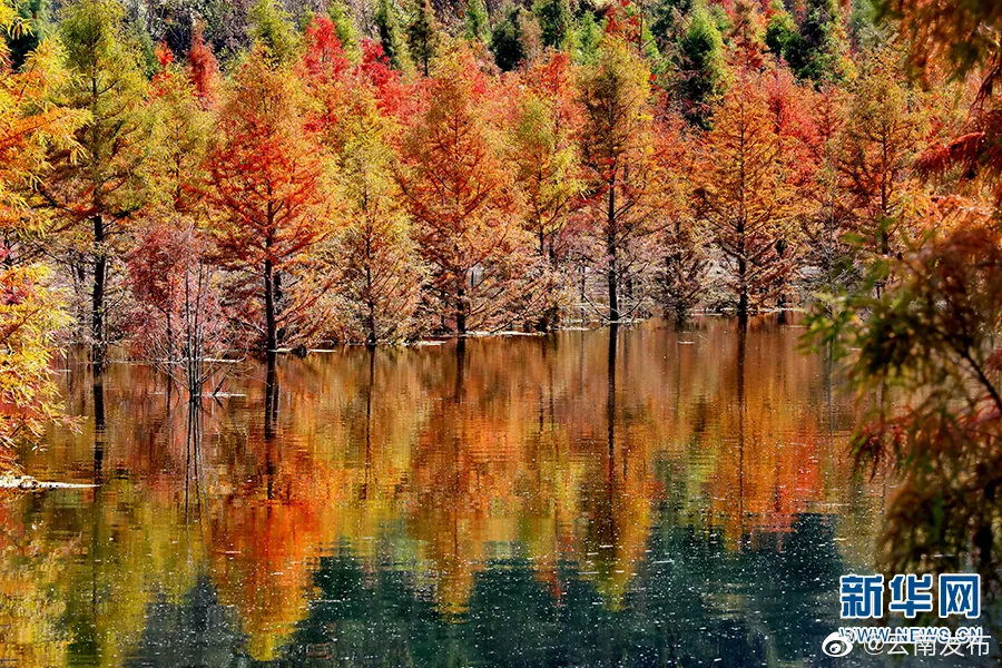 “云南发布”微博