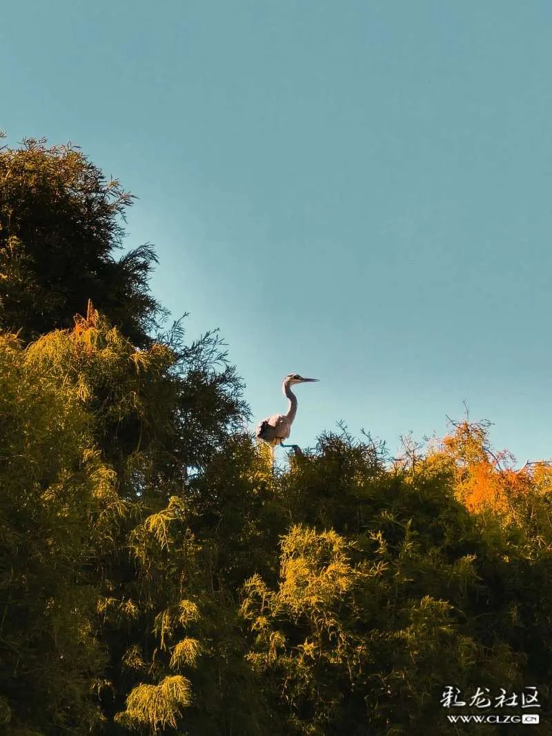 昆明信息港/cnkmxxg