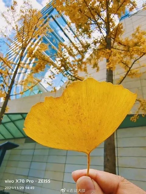 春城晚报