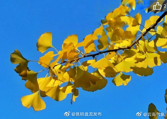 云南省未来24小时天气预报