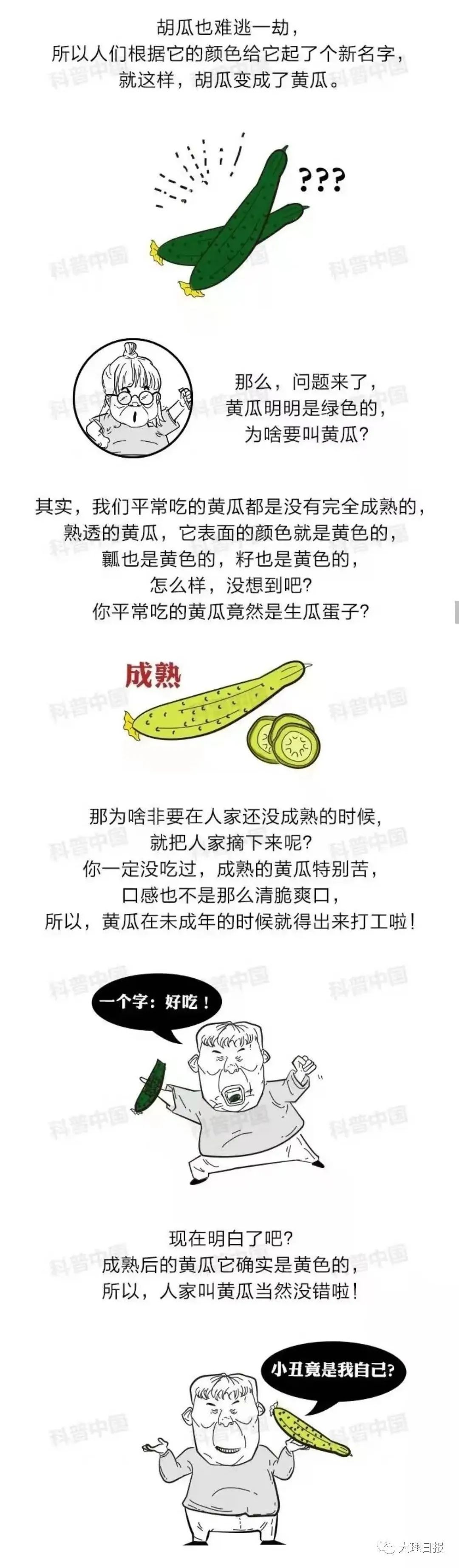 大理日报