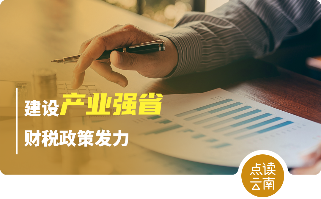 云南省人民政府网