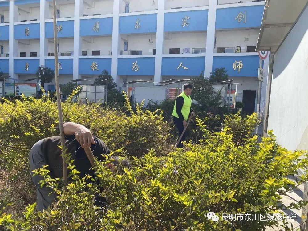 东川教育(微信)