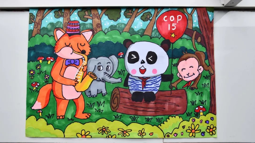 盘龙教育(微信)