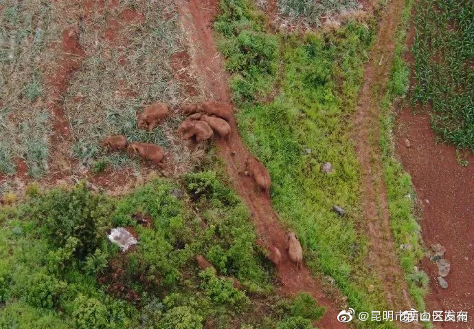 “昆明市西山区发布”微博