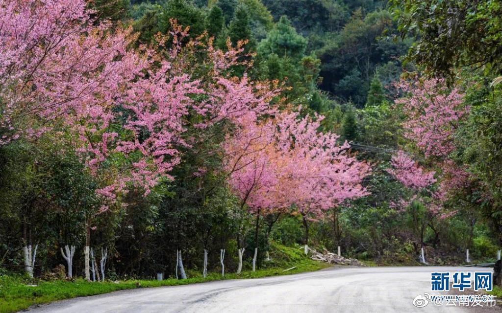 “云南发布”微博