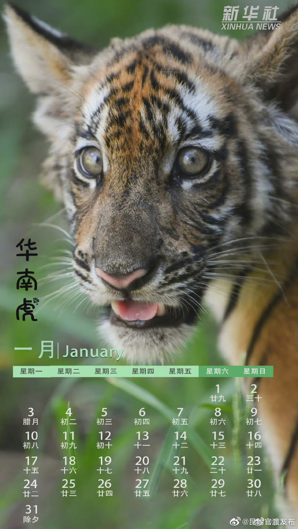 “昆明官渡发布”微博