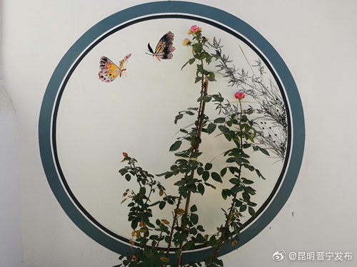 昆明晋宁发布