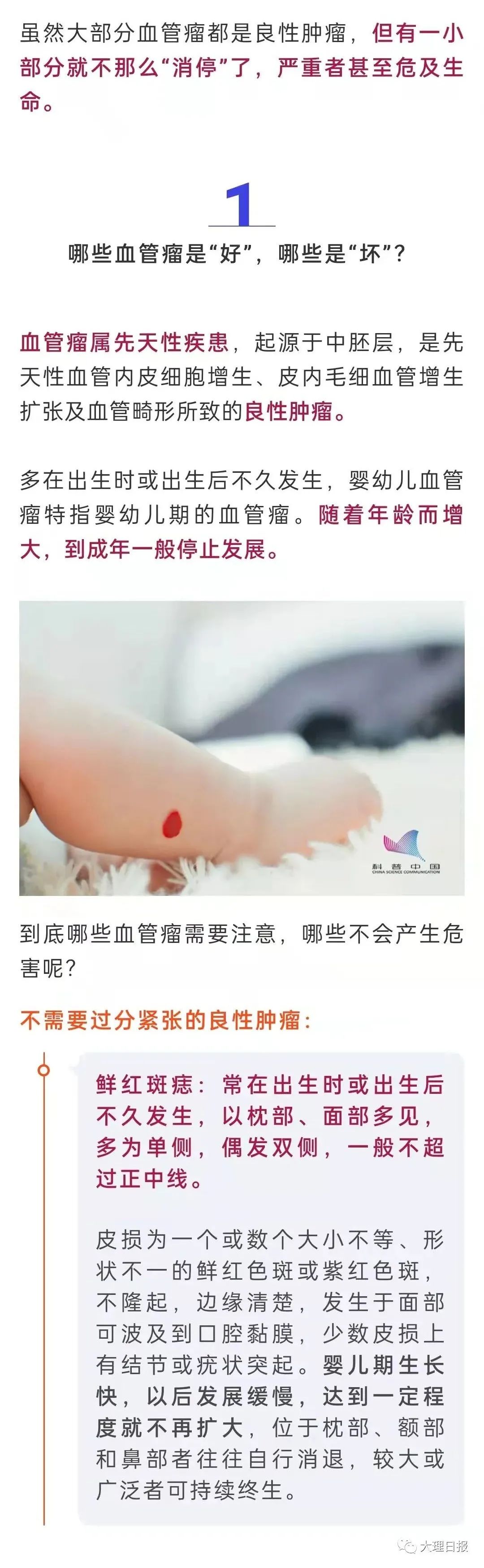大理日报