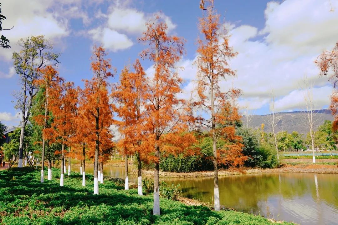 红河文旅