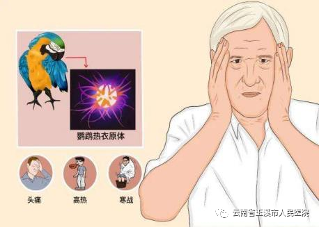 云南省玉溪市人民医院