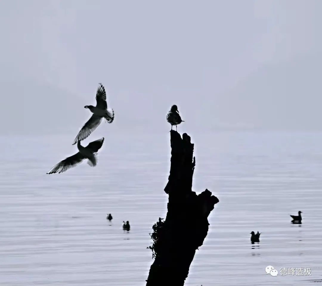 918云南交通台(微信)