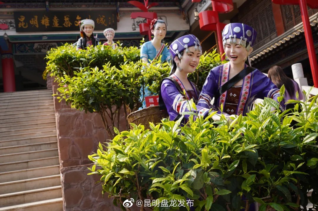 昆明盘龙发布