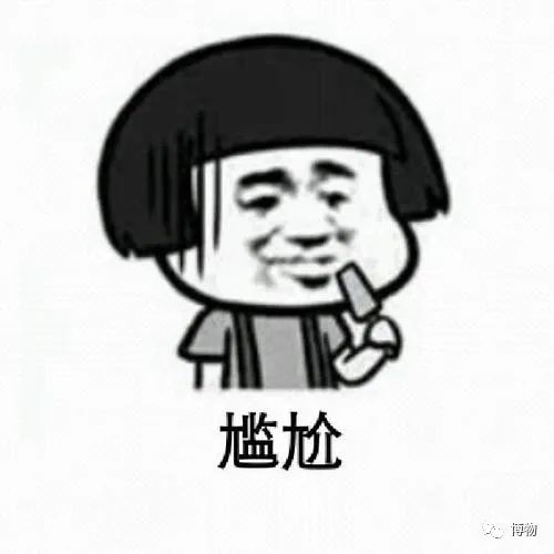 西双版纳望天树景区