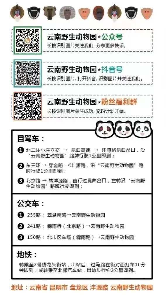 云南野生动物园