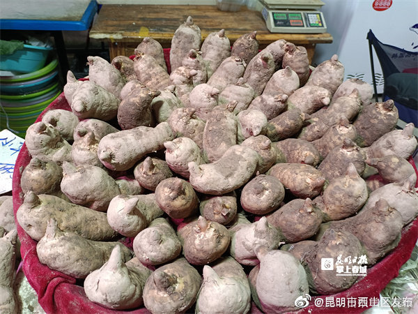 “昆明市西山区发布”微博