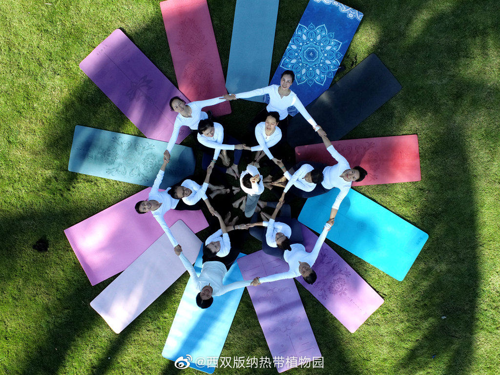 西双版纳热带植物园微博