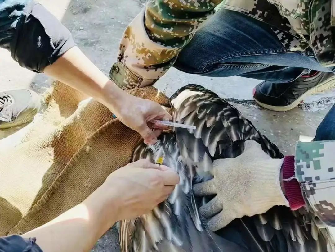 云南野生动物园