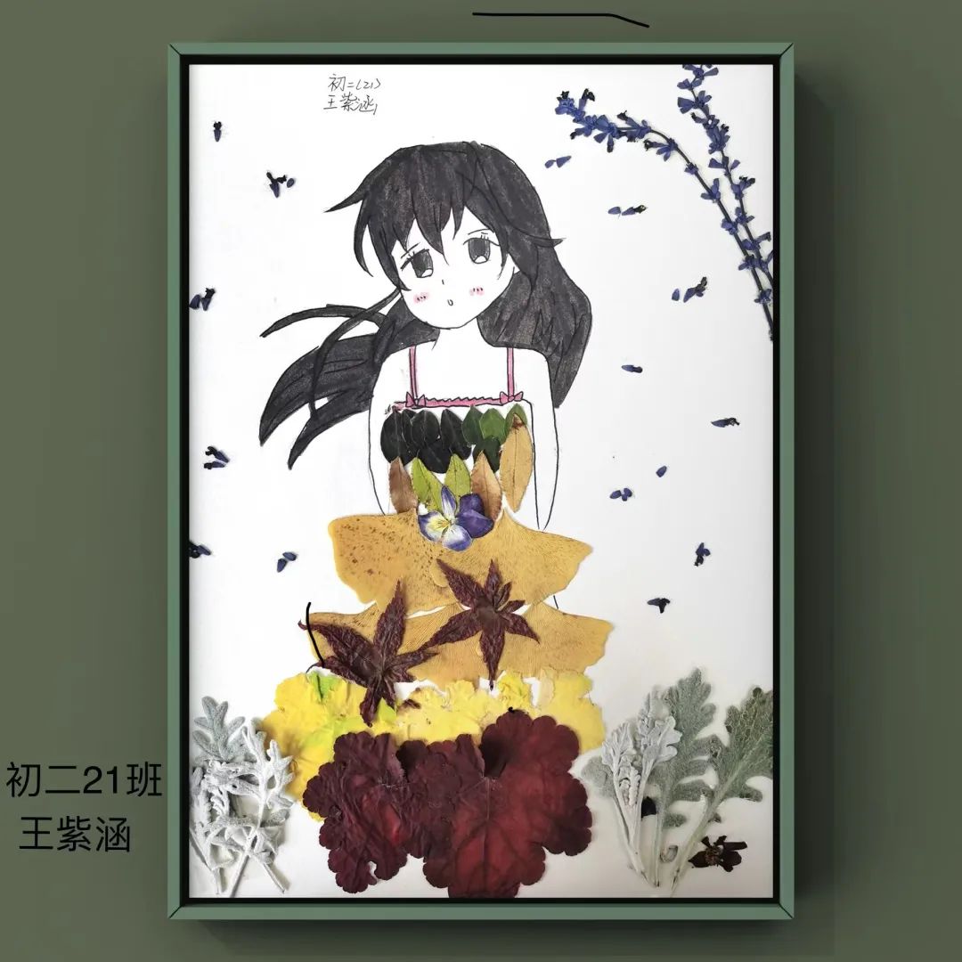 盘龙教育(微信)