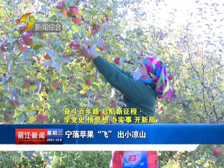 丽江新闻
