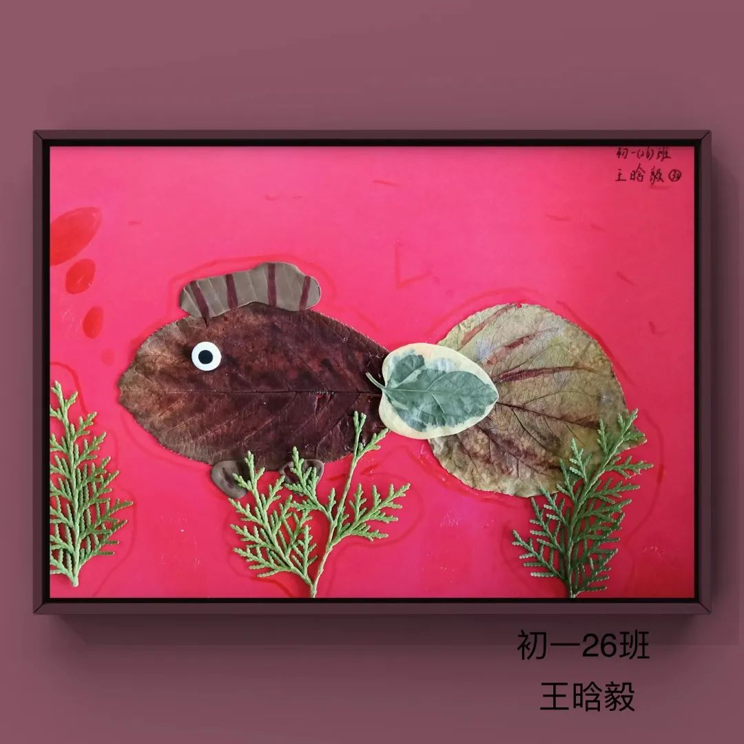 盘龙教育(微信)