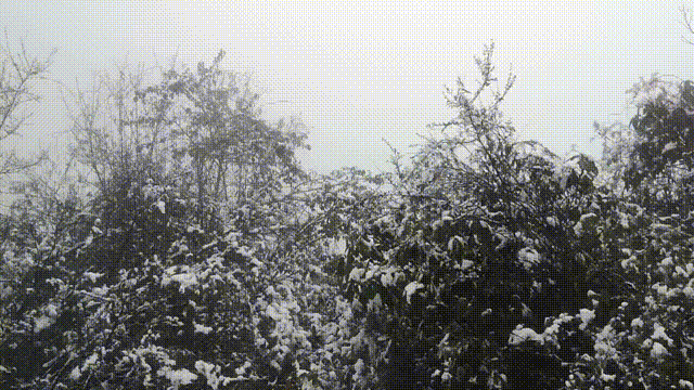 保山广播电视台