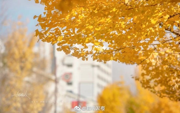 昆明发布