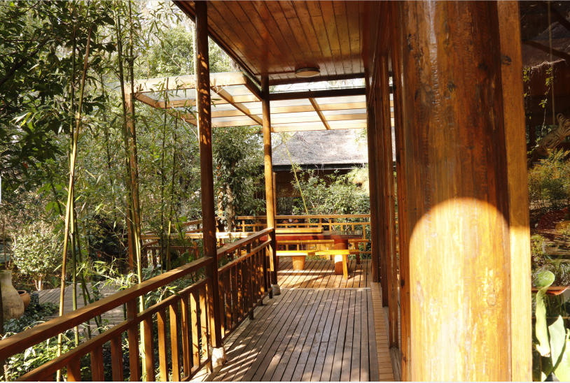 云南野生动物园