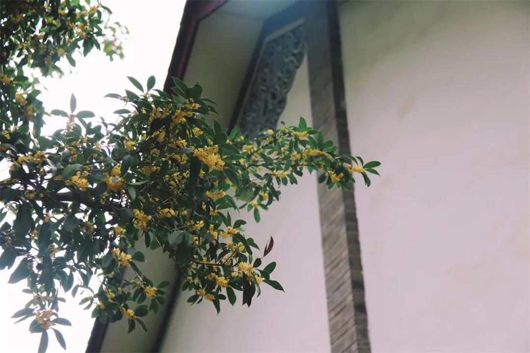 盘龙共青团