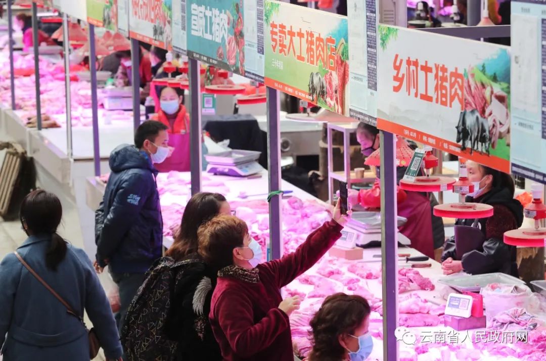 云南省人民政府网