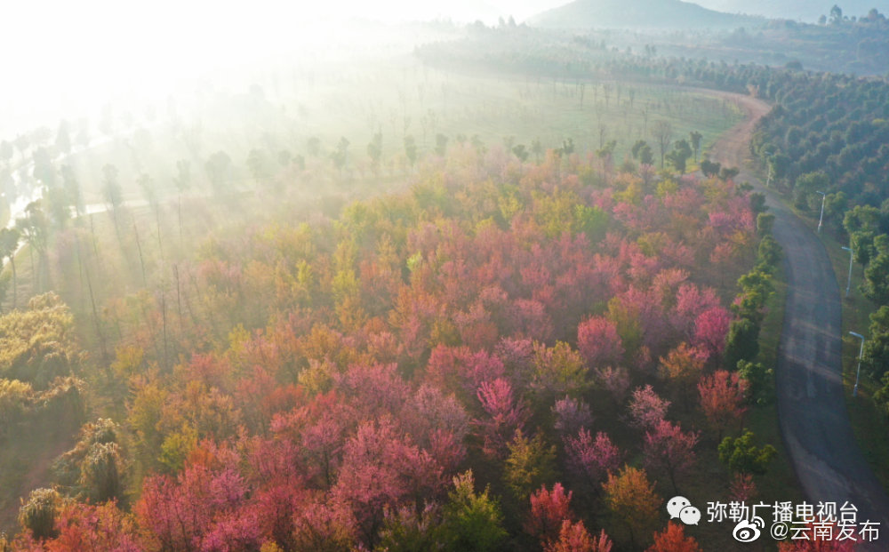 “云南发布”微博