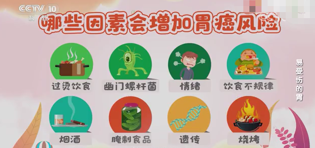 掌上春城微信公众号