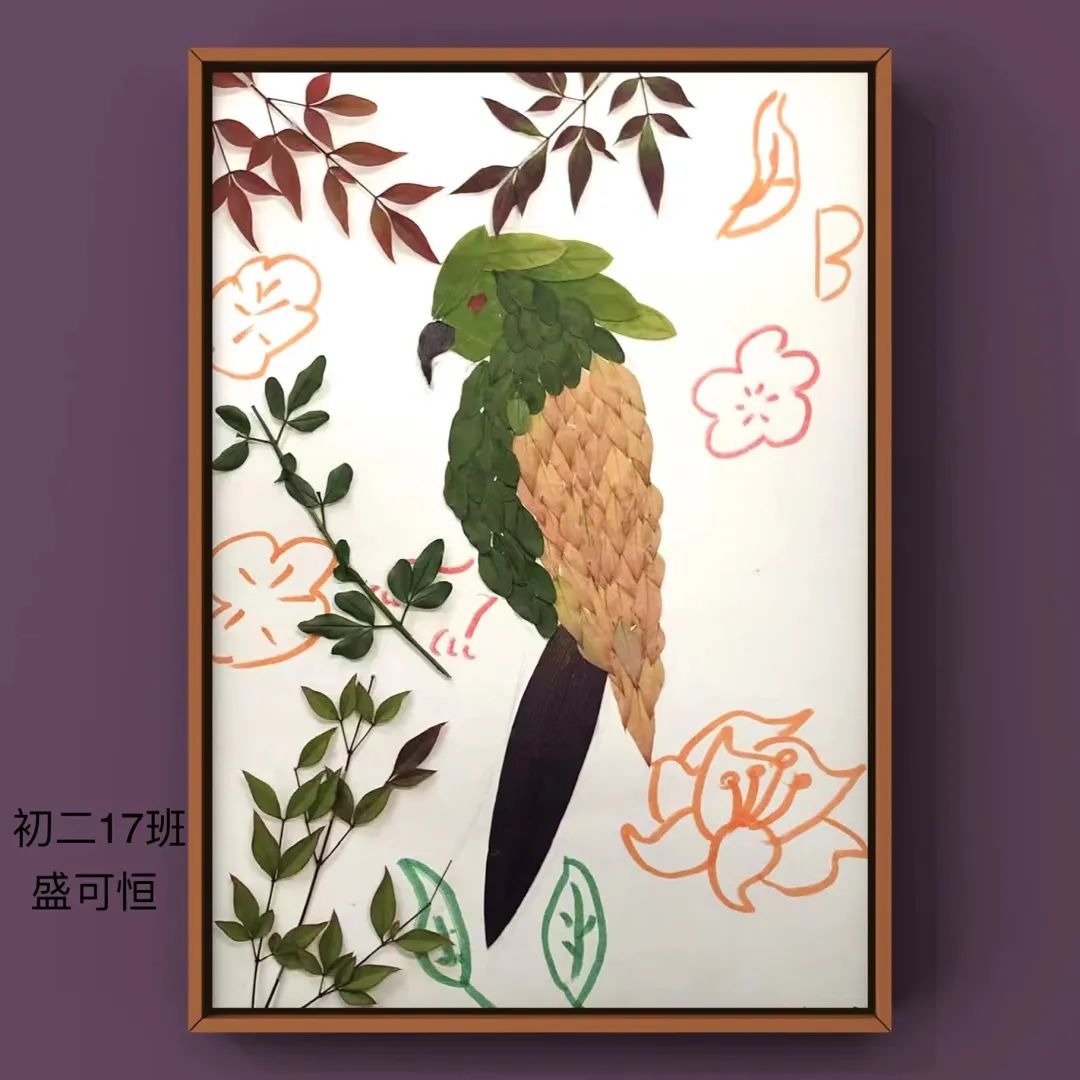 盘龙教育(微信)
