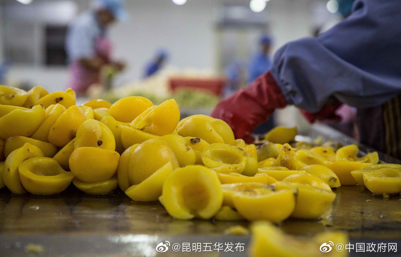 注意！这11批次食品抽检不合格！