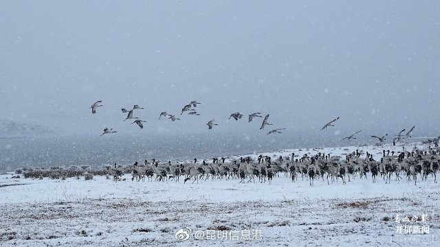 昆明信息港