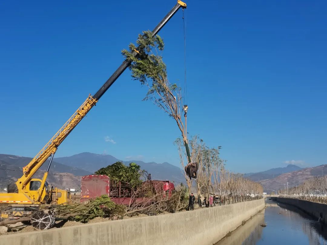 丽江日报