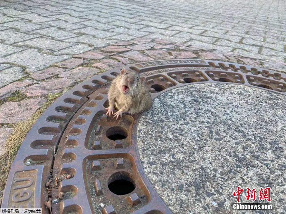 云南法制报