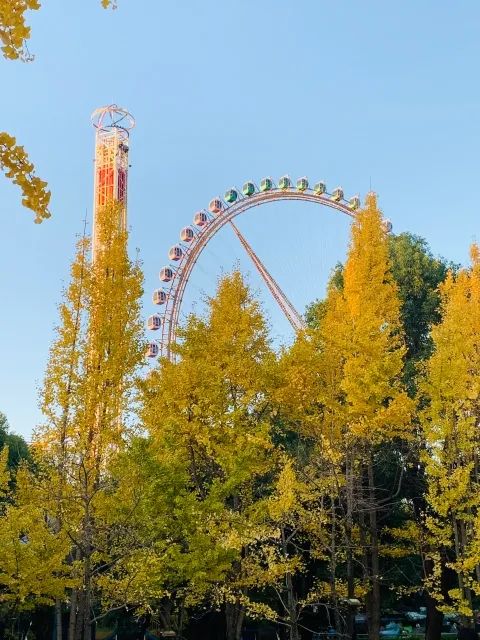 春城晚报