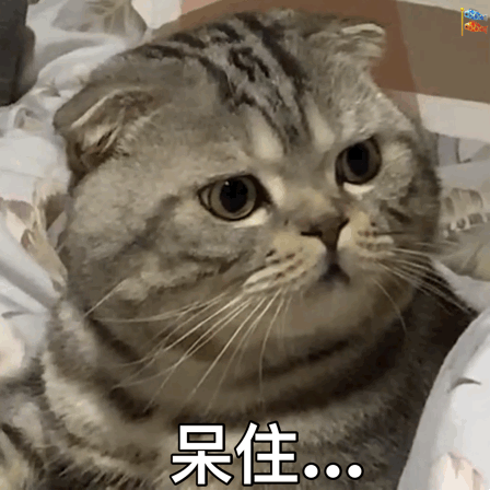 保山广播电视台