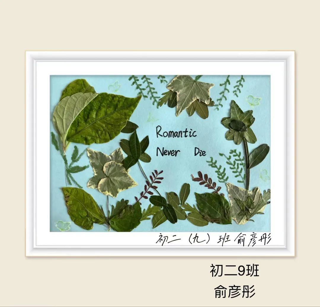 盘龙教育(微信)