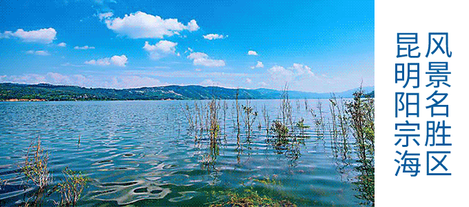 昆明阳宗海风景名胜区(微信)