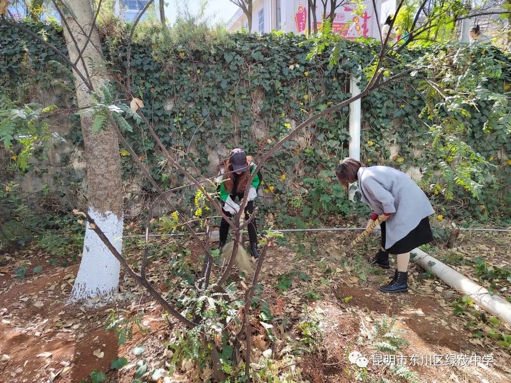 东川教育(微信)