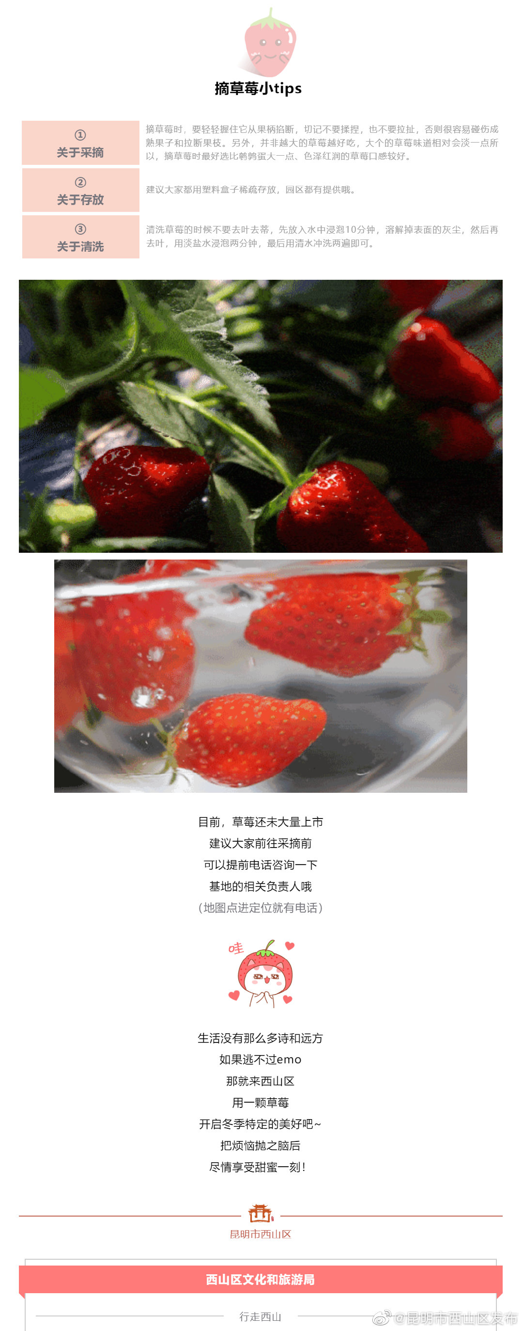 “昆明市西山区发布”微博